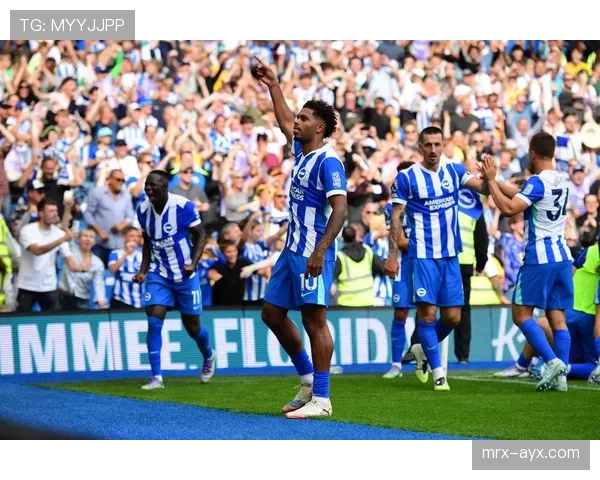 布莱顿本赛季数据分析：进攻效率提升，防守稳定性增强